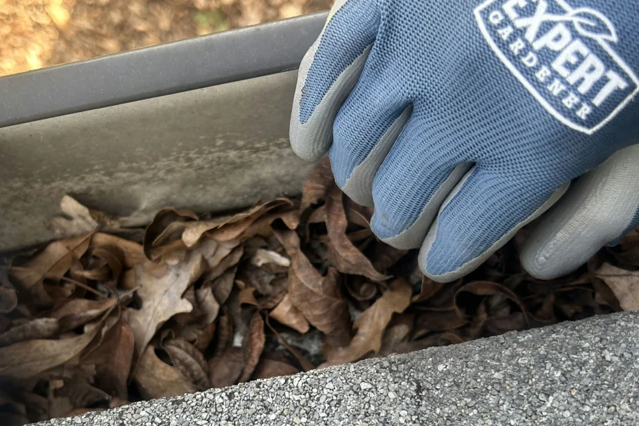 Gutter Cleaning Brookside