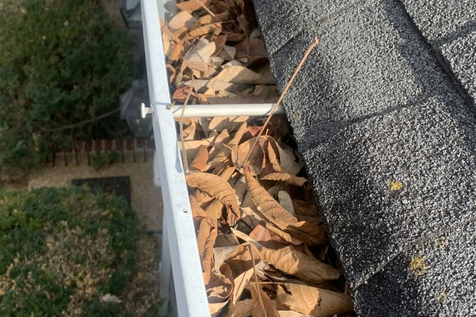 Gutter Cleaning Brookside